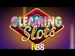 Programa VIP h88